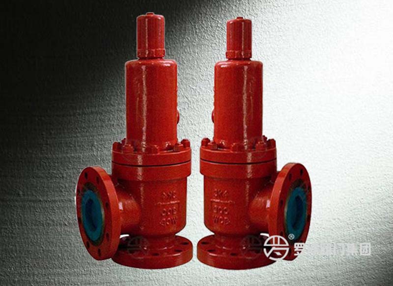 Safety Relief Valve Manufacturer in China