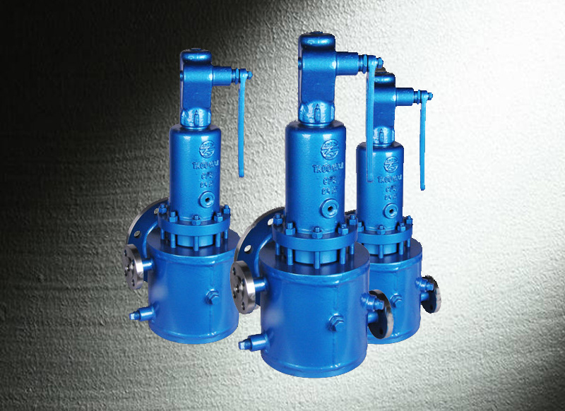 Safety Relief Valve Manufacturer in China